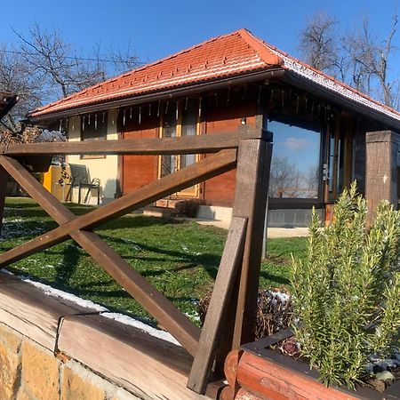 Apartmani Lunija Gornji Milanovac Ngoại thất bức ảnh