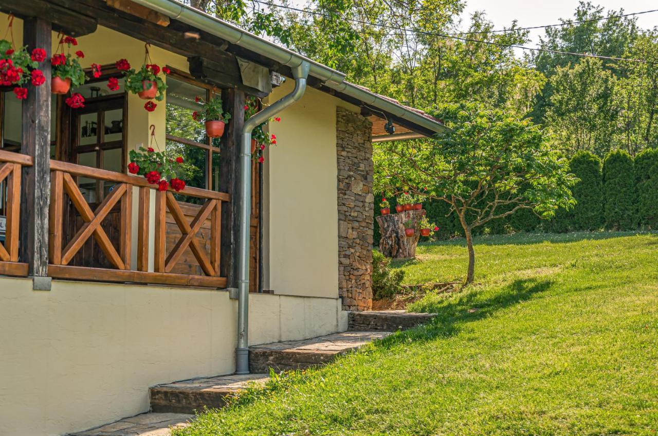 Apartmani Lunija Gornji Milanovac Ngoại thất bức ảnh