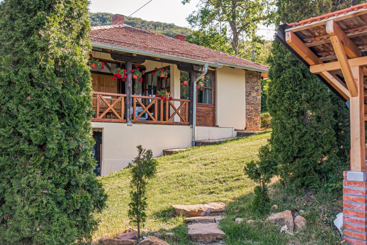 Apartmani Lunija Gornji Milanovac Ngoại thất bức ảnh