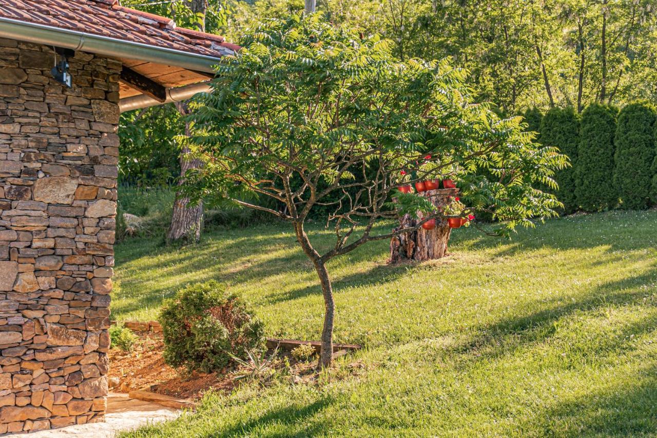 Apartmani Lunija Gornji Milanovac Ngoại thất bức ảnh